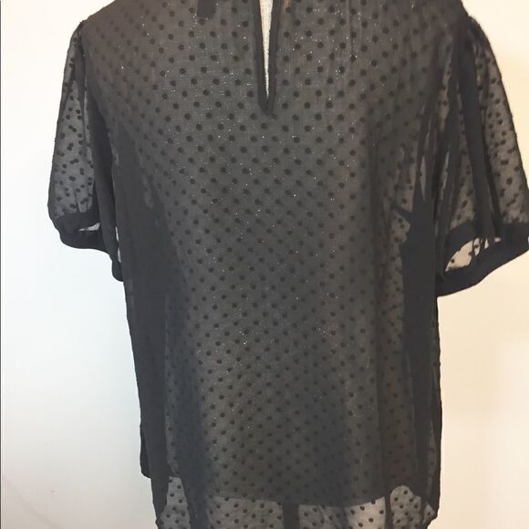 NWOT Torrid Adorable Black Sheer dot top Sz 14/16 - Picture 3 of 5